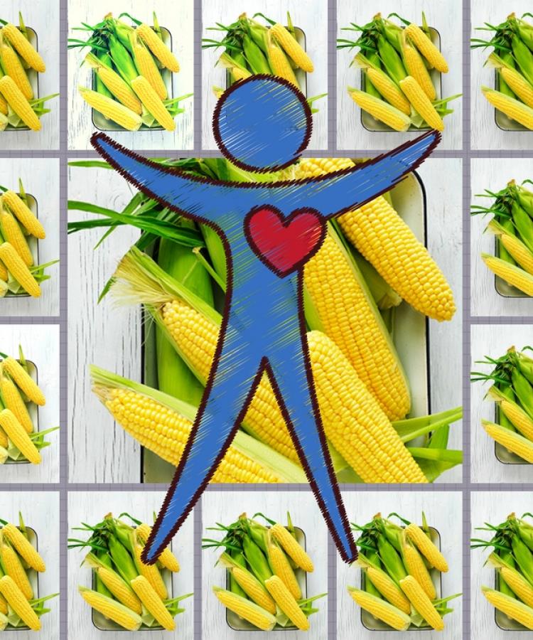 Potassium: Why we Need It and 15 Fruits and Vegetables That Has It - Sydney Markets