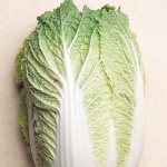 Chinese Cabbage (Wombok)