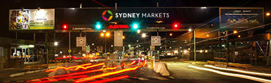 Sydney Markets | 50 YRs Now on YouTube